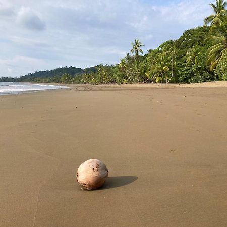 Corcovado & Drake Inn Дрейк Екстер'єр фото