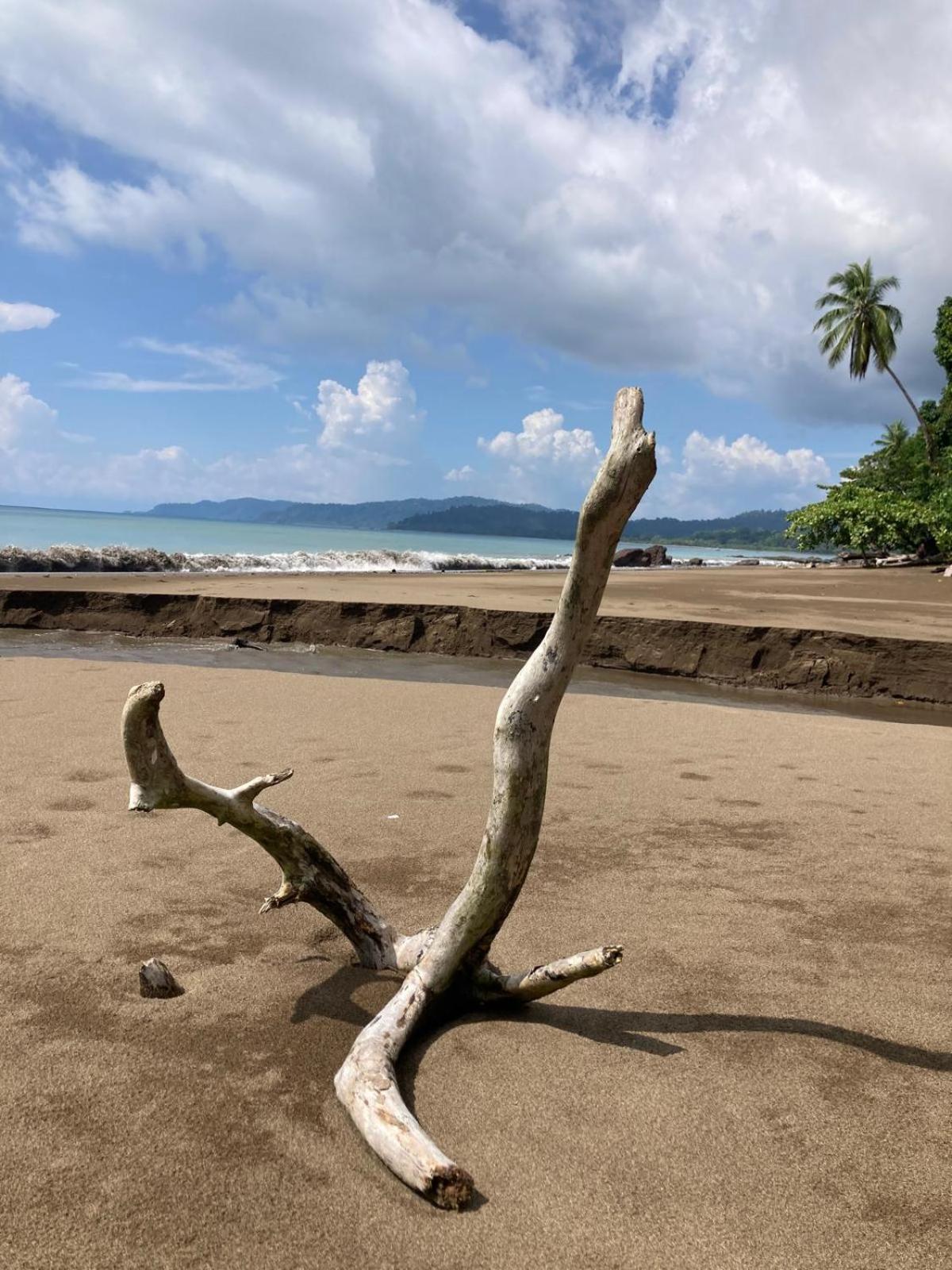 Corcovado & Drake Inn Дрейк Екстер'єр фото