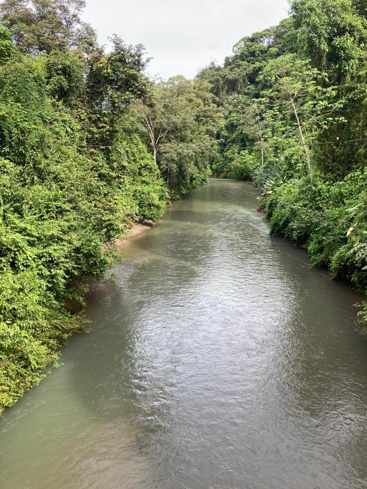 Corcovado & Drake Inn Дрейк Екстер'єр фото