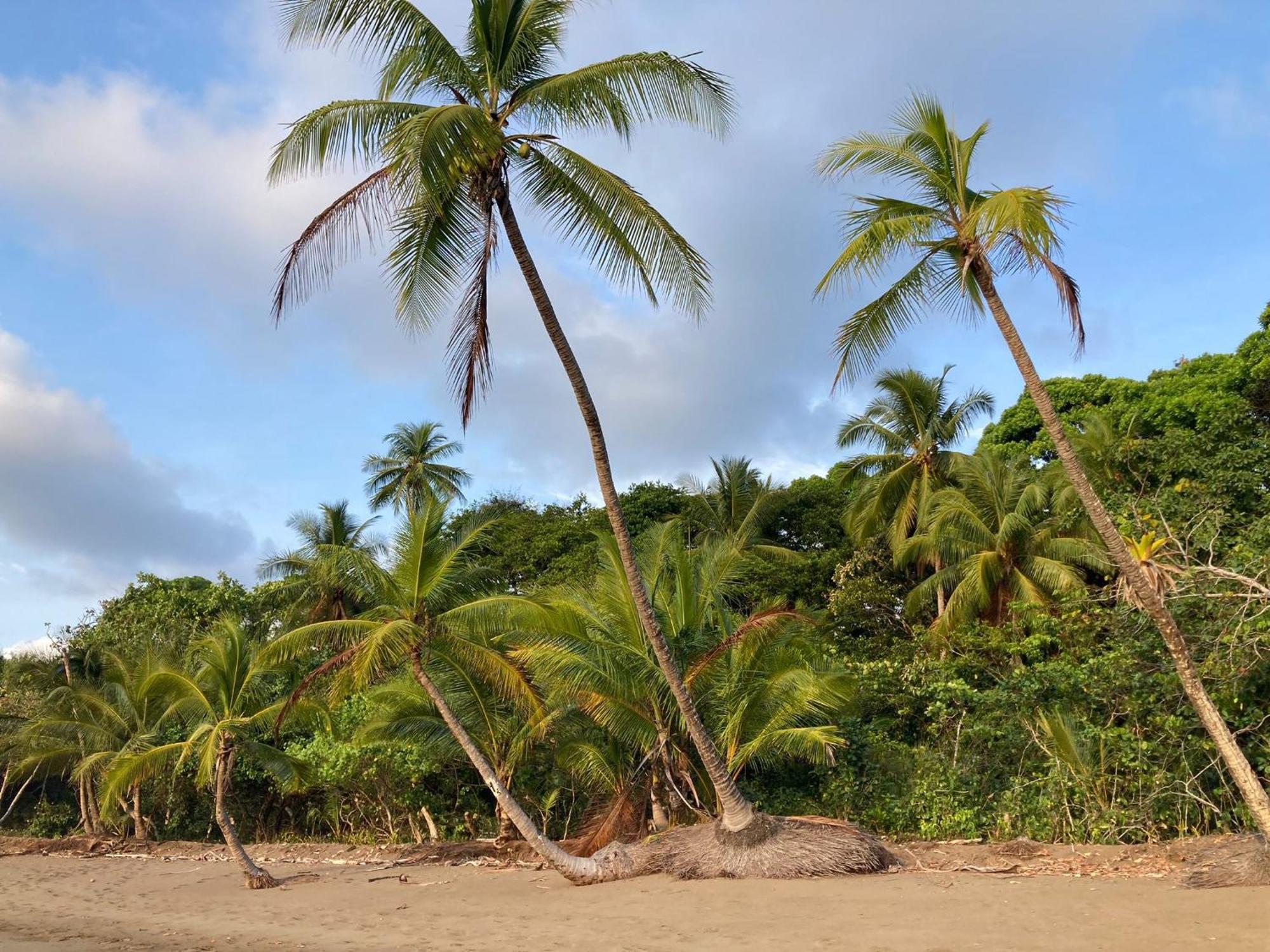 Corcovado & Drake Inn Дрейк Екстер'єр фото